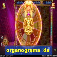organograma da cacau show